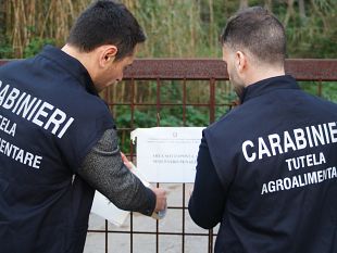 usavano-terreni-fantasma-per-incassare-fondi-ue-6-arresti-in-sicilia-per-truffa-aggravata