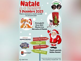 trapani-domenica-3-dicembre-iniziativa-animalista-alla-casina-delle-palme