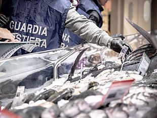 fish-net-la-vasta-e-complessa-operazione-ha-interessato-anche-marsala