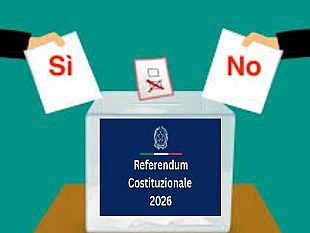 una-punta-di-sal-referendum-meloni-rischiatutto