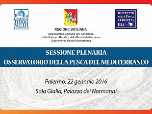 domani-all-ars-si-riunisce-l-osservatorio-della-pesca-del-mediterraneo