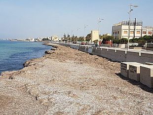 mazara-lestate-corta-in-una-citta-a-vocazione-turistica-solo-un-mese-per-servizio-vigilanza-spiagge-libere-ancora-sporche