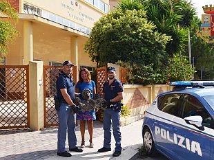 trapani-rinvenuto-dalla-polizia-di-stato-il-busto-bronzeo-raffigurante-i-gemellini-asta