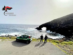 pantelleria-piante-esotiche-in-area-protetta-un-denunciato