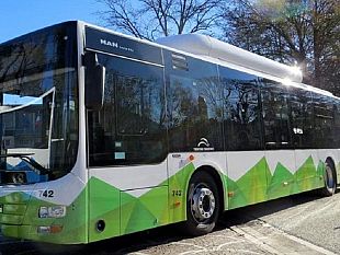 vita-servizio-gratuito-trasporto-studenti-quando-e-come-presentare-domanda