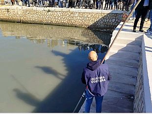 ritrovamento-cadavere-nel-porto-canale-i-dettagli-delloperazione-della-capitaneria-di-porto