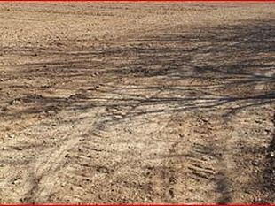 agricoltura-e-non-solo-come-coltivare-sui-terreni-aridi