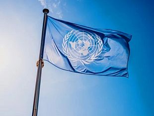 unicef-tirocini-per-studenti-universitari-e-neolaureati