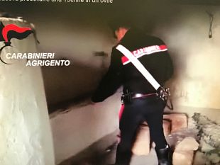 arrestato-allevatore-gibellinese-faceva-prostituire-una-13enne