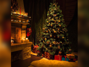 ultime-della-sera-al-via-lallestimento-dellalbero-di-natale