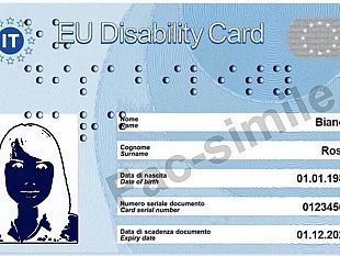 disabili-carta-ue-della-disabilita-allinps