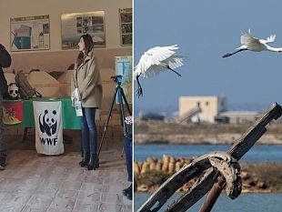 saline-di-trapani-natura-e-riscatto-il-progetto-itinerari-di-comunita-rigenera-le-saline-di-trapani