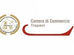 trapani-camera-di-commercio-di-trapani-eletto-il-presidente-della-consulta-dei-liberi-professionisti