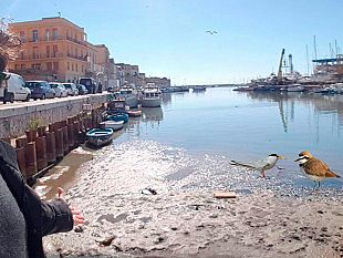 video-mazara-isola-di-sabbia-nel-porto-canale-una-nuova-riserva-naturale