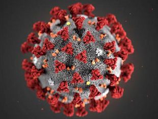 coronavirus-impatto-su-imprese-la-regione-siciliana-avvia-un-indagine