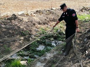 i-carabinieri-forestali-traggono-il-bilancio-dei-controlli-effettuati-nel-2020