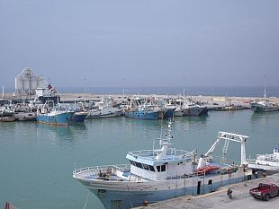 pesca-bartolo-e-ferrandino-scrivono-a-ministro-bellanova-i-tagli-alle-giornate-di-pesca-2021-sarebbero-catastrofici-per-il-settore