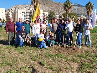 trapani/messi-a-dimora-un-centinaio-di-alberi-e-arbusti-grazie-alla-campagna-del-m5s-alberi-per-il-futuro