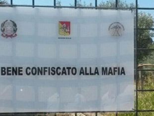 mazara-sopralluogo-consorzio-trapanese-per-la-legalita-e-sviluppo-in-terreno-confiscato-e-utilizzato-per-coltivazioni