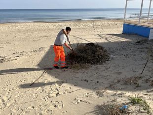 castellammare-completata-la-pulizia-delle-spiagge-e-delle-ville-comunali