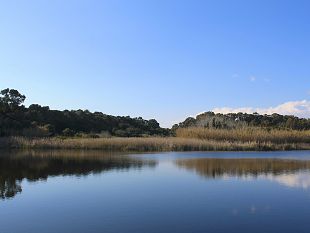 mazara-al-via-il-secondo-weekend-delle-vie-dei-tesori-2024