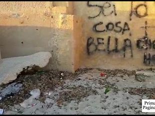 mazara-questa-notte-la-disinfestazione-delle-spiagge