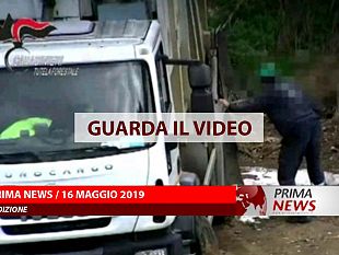 prima-news-16-maggio-prima-edizione