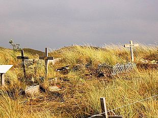 novita-dallars-sepoltura-animali-al-cimitero-e-funerali-laici-per-i-non-credenti