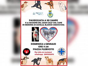 mazara-il-5-gennaio-passeggiata-a-sei-zampe-e-5-edizione-del-gran-gala-del-cane