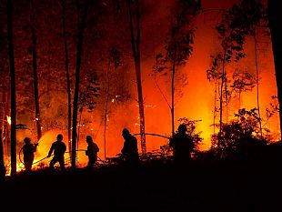 emessa-lordinanza-comunale-per-le-misure-nei-confronti-degli-incendi-pesanti-le-multe-per-i-trasgressori
