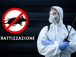 mazara-derattizzazione-dal-20-al-22-luglio-il-quinto-intervento