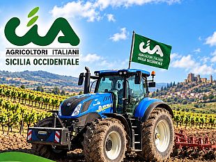 viticoltura-la-cia-sicilia-occidentale-chiama-a-raccolta-ad-alcamo-i-produttori-assemblea-pubblica-sui-ristori