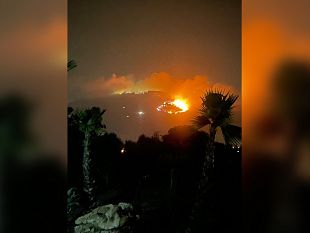 vasto-incendio-ad-erice