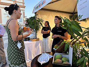 balestrate-punta-a-diventare-la-capitale-nazionale-dei-frutti-tropicali