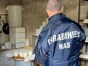 custonaci-campagna-di-controlli-alla-filiera-del-latte-i-carabinieri-scoprono-un-caseificio-abusivo
