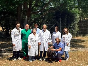 l-asp-trapani-in-campo-contro-labbandono-degli-animali