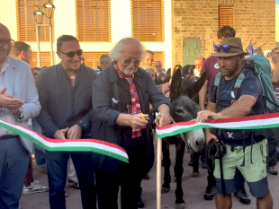 al-via-il-festival-pantelleria-asinabile