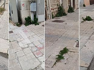trapani-in-via-passaneto-si-cammina-tra-erbacce-e-degrado