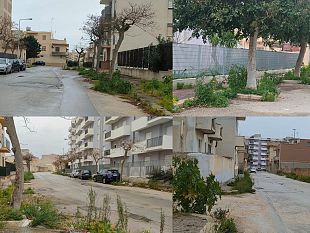 mazara-ancora-alta-vegetazione-selvaggia-nella-zona-di-via-potenza
