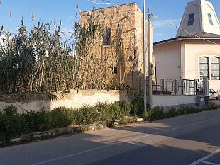 mazara-erbacce-e-vegetazione-in-via-santa-gemma-cittadini-chiedono-intervento-urgente