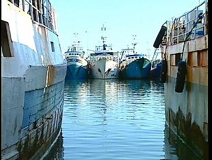progetto-porto-marsala-molti-dubbi-dai-pescatori-della-coop-lilybeo