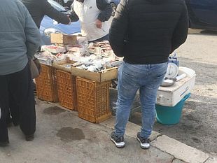 diventera-bellissima-e-ancora-allarme-venditori-abusivi