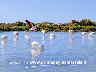 lo-stagnone-un-paradiso-naturale-che-rischia-di-diventare-vittima-della-propria-fama