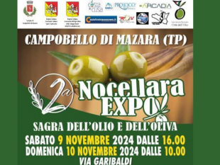 campobello-sagra-dellolio-e-delloliva-nocellara-del-belice-primo-incontro-organizzativo-il-21-ottobre