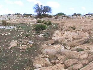 residenti-di-borgata-costiera-contro-la-fattoria-eolica-nei-pressi-del-sito-archeologico-di-roccazzo-dove-sono-i-politici-e-gli-ambientalisti