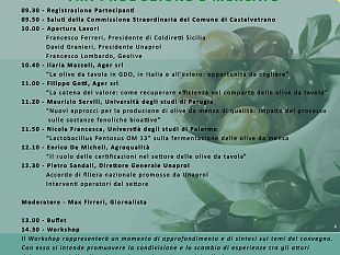 la-filiera-delle-olive-da-tavola-tra-produzione-e-mercato-in-un-convegno-al-selinus