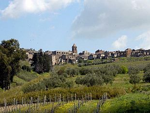 partanna-coordinamento-sindaci-belice-inammissibile-da-parte-del-governo-chiedere-ai-comuni-di-riscuotere-l-imu-sui-terreni-agricoli-per-compensare-tagli