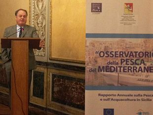 escavo-porto-canale-di-mazara-ass-reg-cracolici-la-gara-di-appalto-e-pubblicata-nella-piattaforma-informatica-della-regione-siciliana