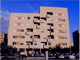 iacp-trapani-assunti-cinque-dipendenti-a-tempo-indeterminato