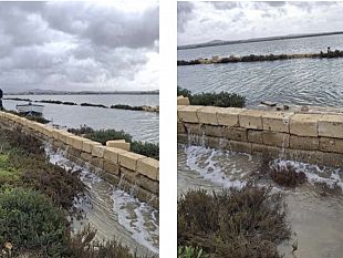 riserva-naturale-orientata-saline-di-trapani-e-paceco-un-equilibrio-fragile-messo-a-dura-prova